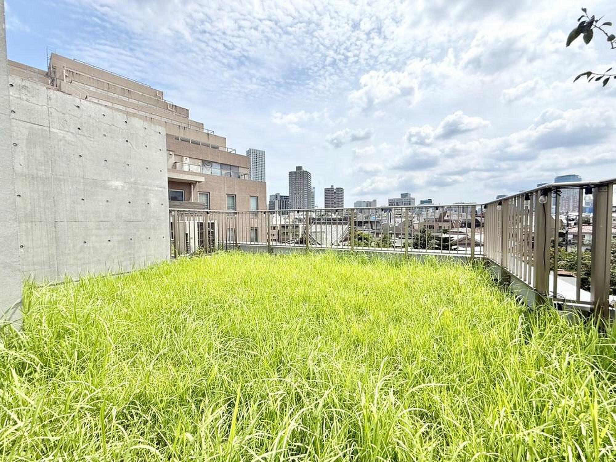 ペントハウス階、草の絨毯の向こうに都心のスカイラインが並ぶ屋上庭園