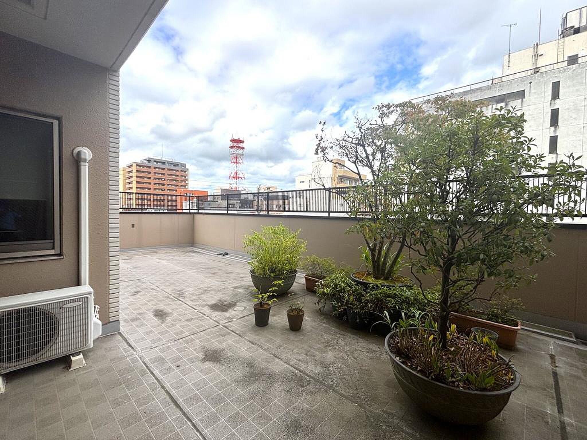 約33帖。鉢植えを並べても余る、街を見下ろす屋上の余白