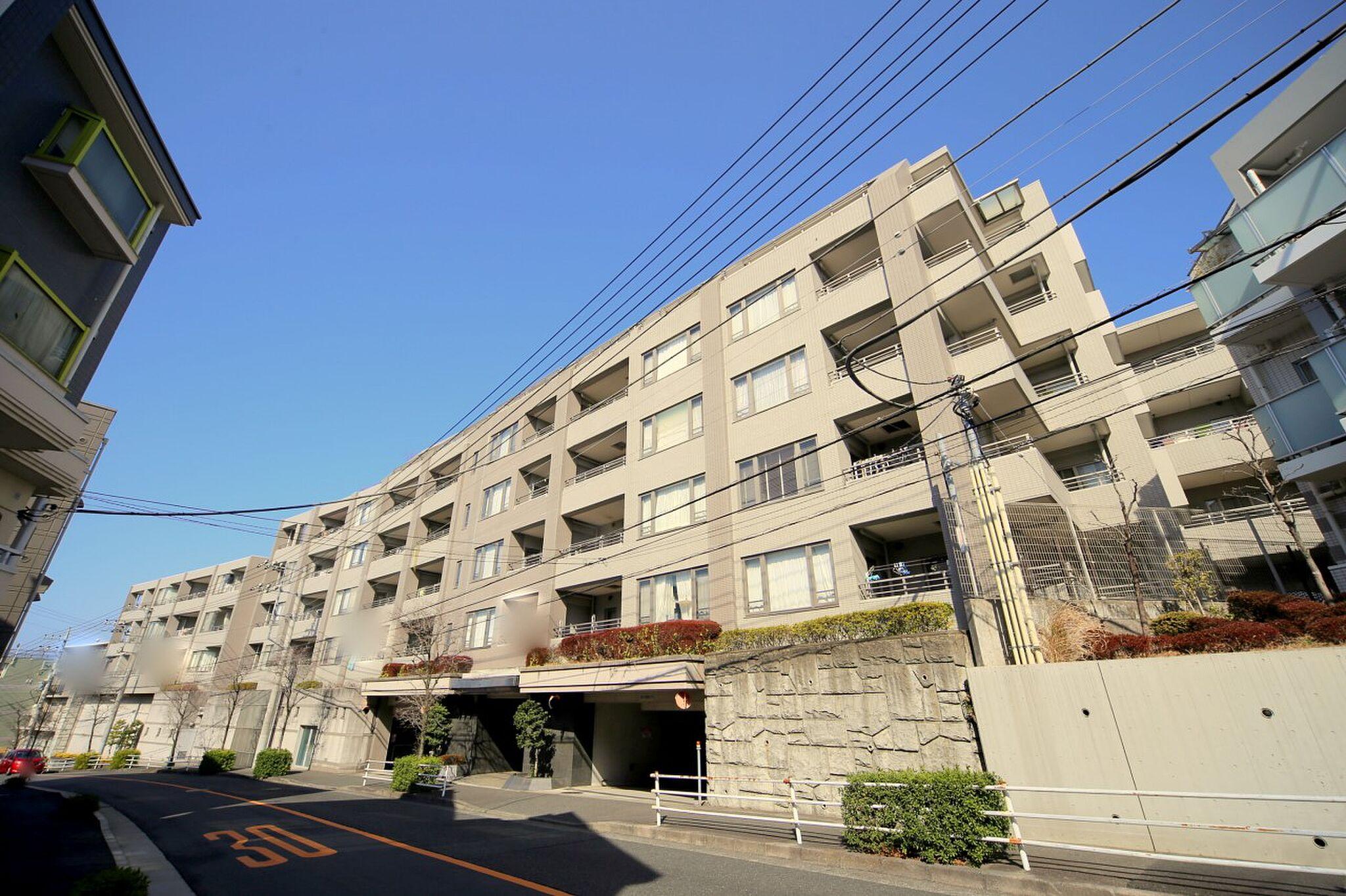 最上階、94㎡の空き地のような屋外。隣は雑木林