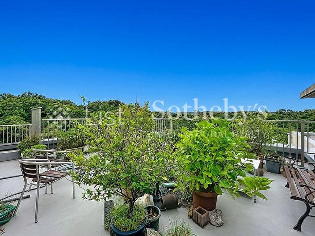 40㎡の平場に、鉢植えと椅子と、遮るものない青空