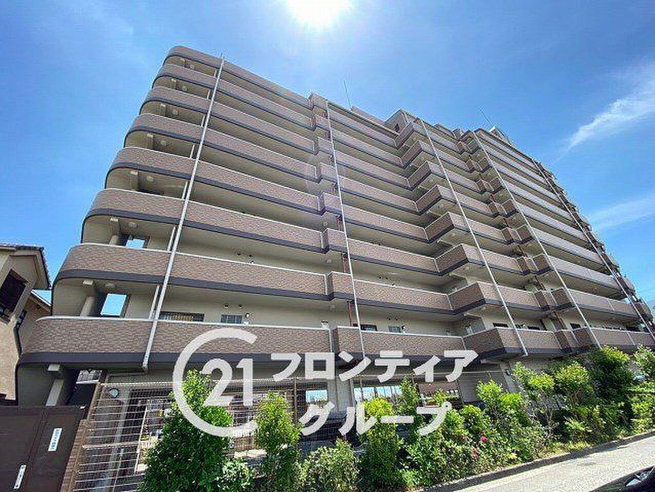 最上階の南面を端から端まで使い切る、45㎡の屋外