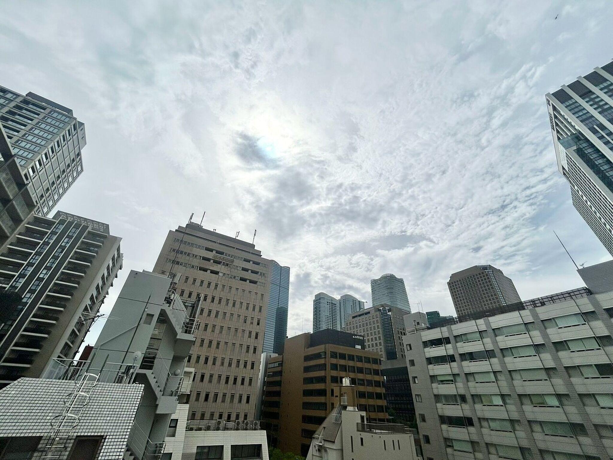 ウッドタイルの床の先に、港区の高層ビル群と空が広がるルーフバルコニー