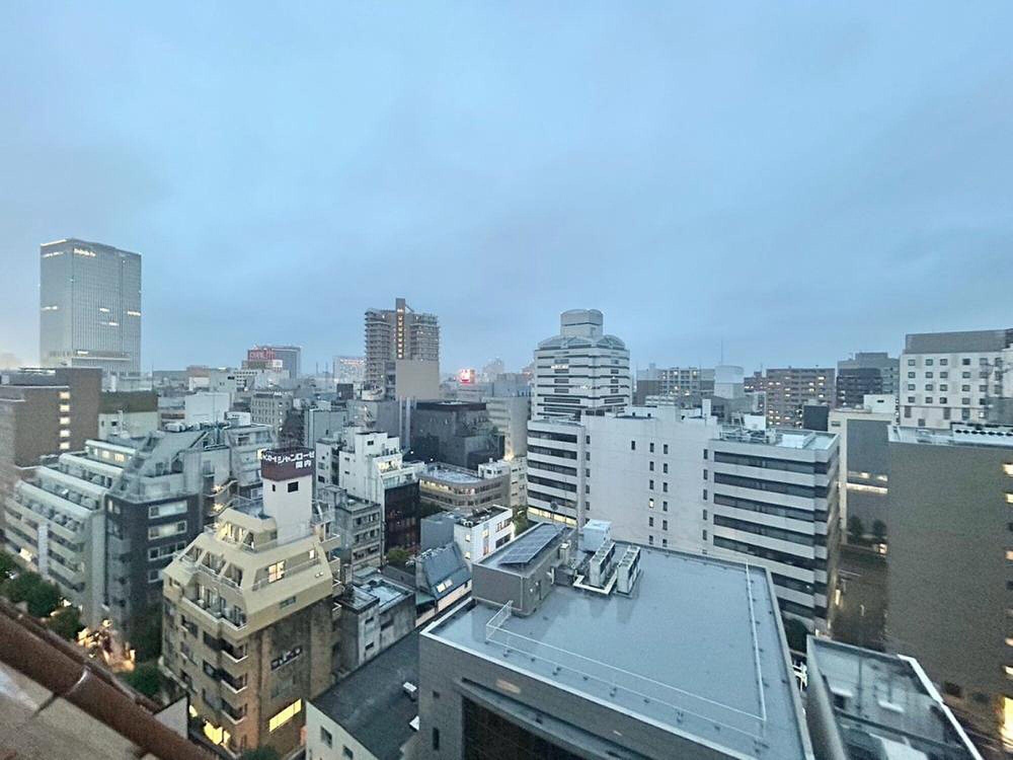 最上階の角、屋根の斜面に沿って伸びる南西のルーフバルコニー