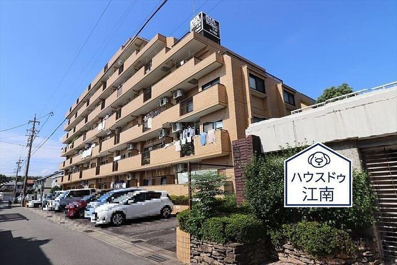 32㎡の平場、遮るものは柵の高さまでない
