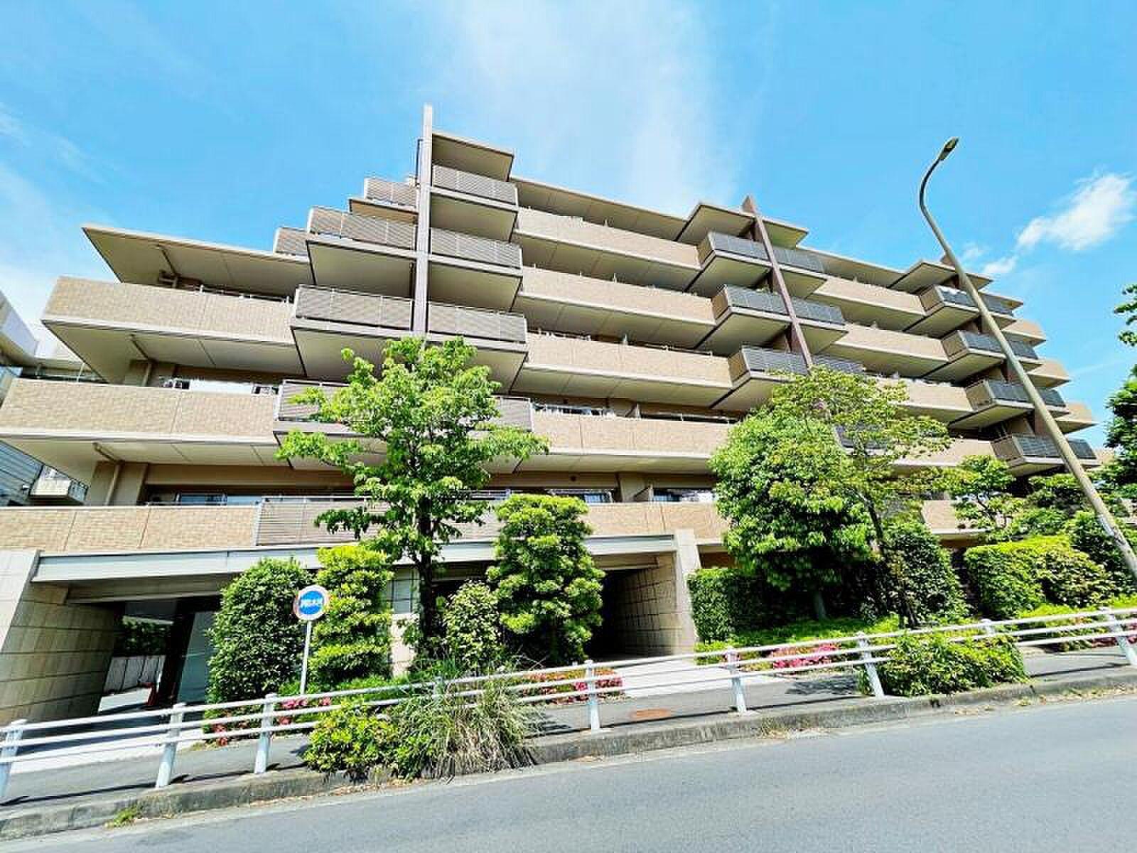 約28㎡の平場に、まだ何も置かれていない