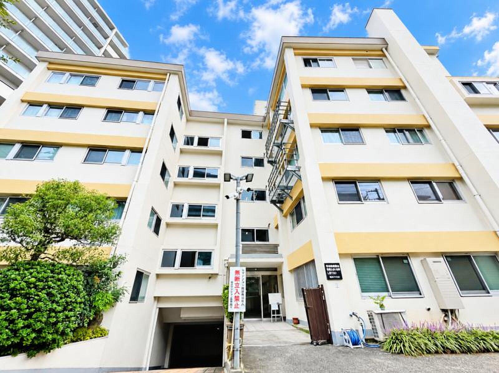 オーニングの下、南西に長く伸びる19.76㎡の屋外