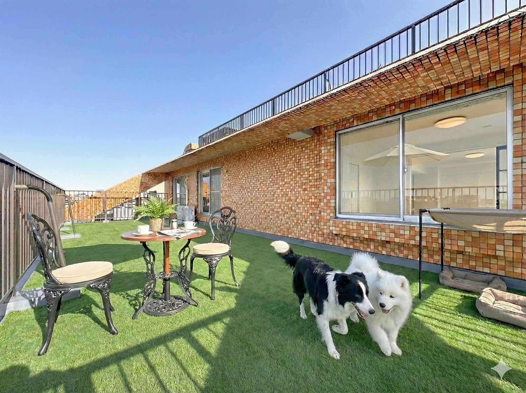 最上階、芝の上で犬と朝のコーヒー。屋根の上に自分たちの庭がある暮らし