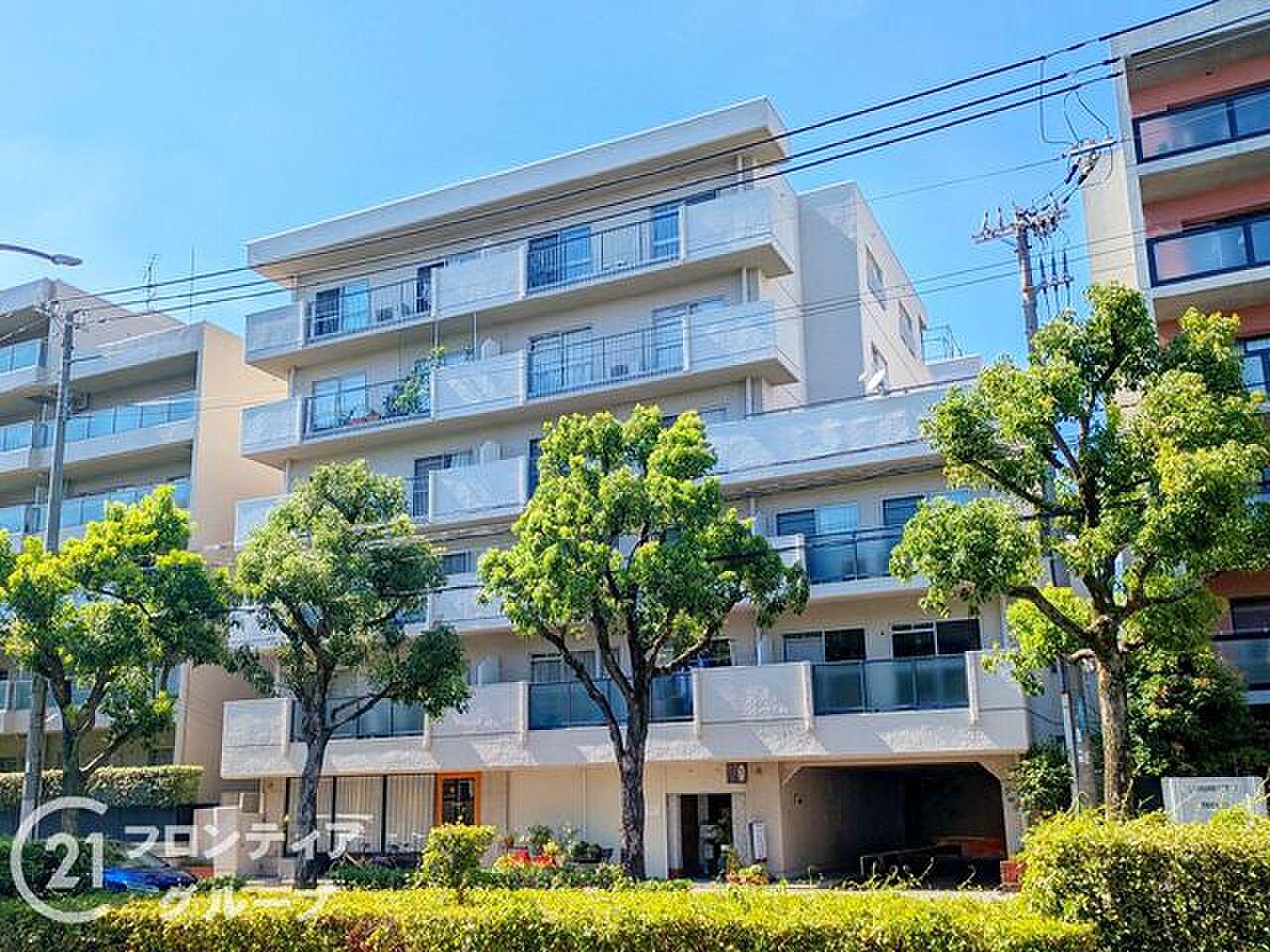 LDK18帖の南東角住戸から、54㎡超の空へ続く平場へ