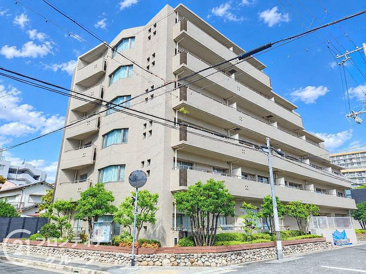 49㎡の白い床の上、空とフェンス越しの街並みだけがある