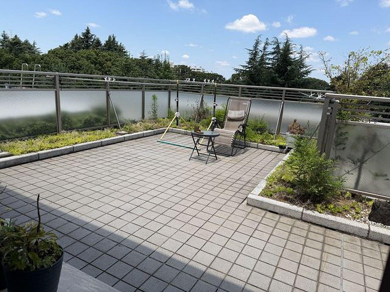 腰壁の向こうは樹々の緑、40㎡の平場に椅子ひとつ