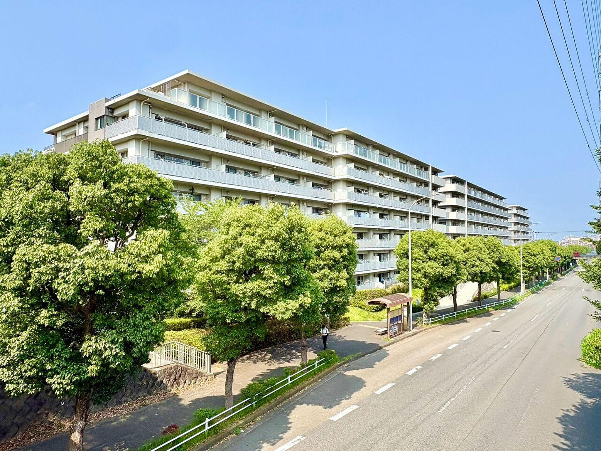 最上階・南向き。屋根の上に、自分たちで育てていく余白がある