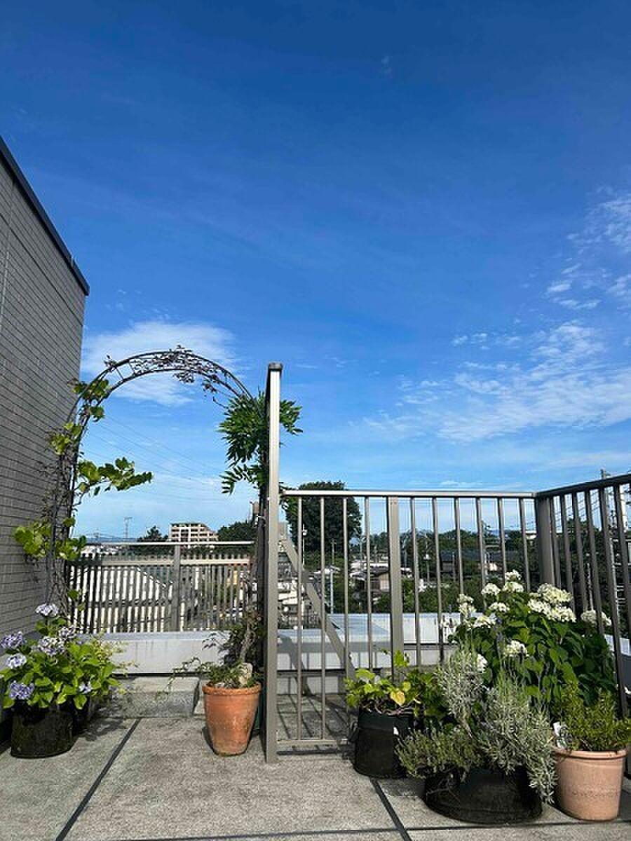 最上階、空の下のガーデン。鉢植えを並べて育てる4LDKの屋上庭園