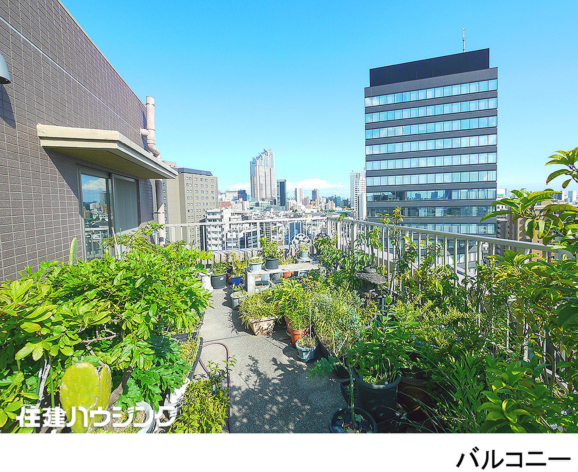 最上階、鉢植えの森ごしに新宿のビル群を見上げる20㎡の空中庭園