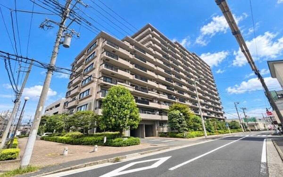 30㎡の南向き平場に、パラソルを一本立てる
