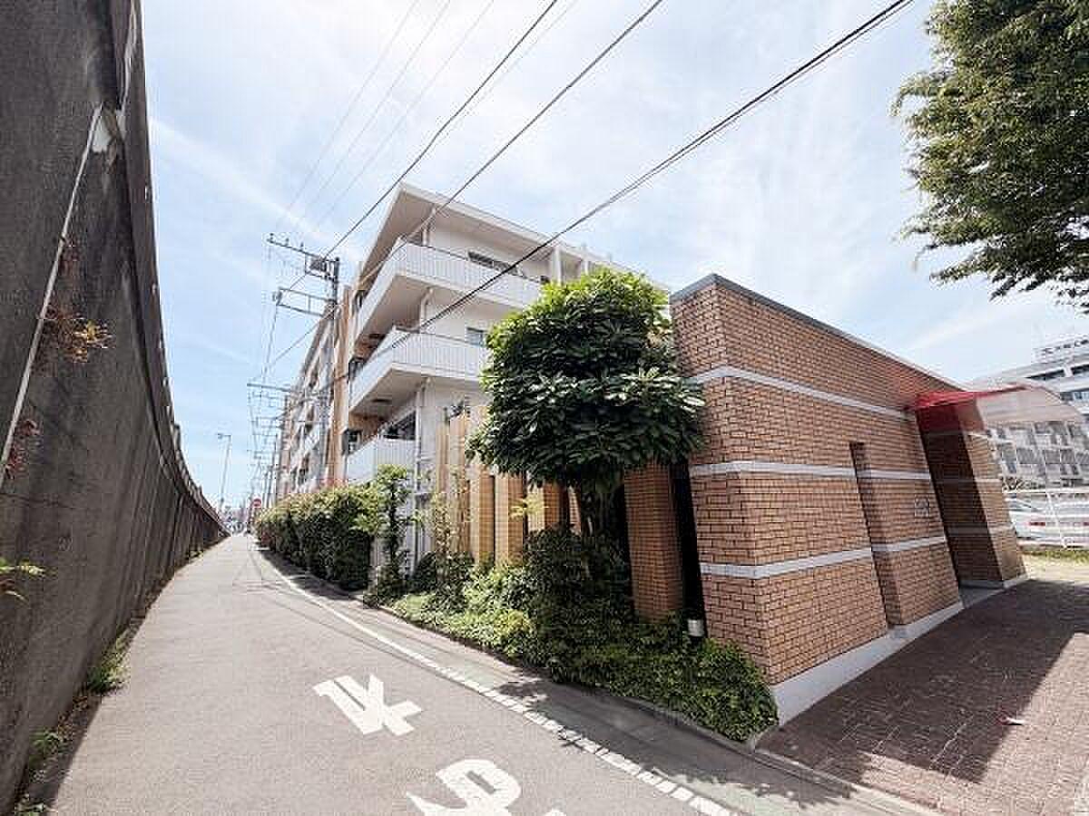 最上階、住戸をぐるりと囲む36.8㎡の空。3方向に出られる屋外リビングが日常になる