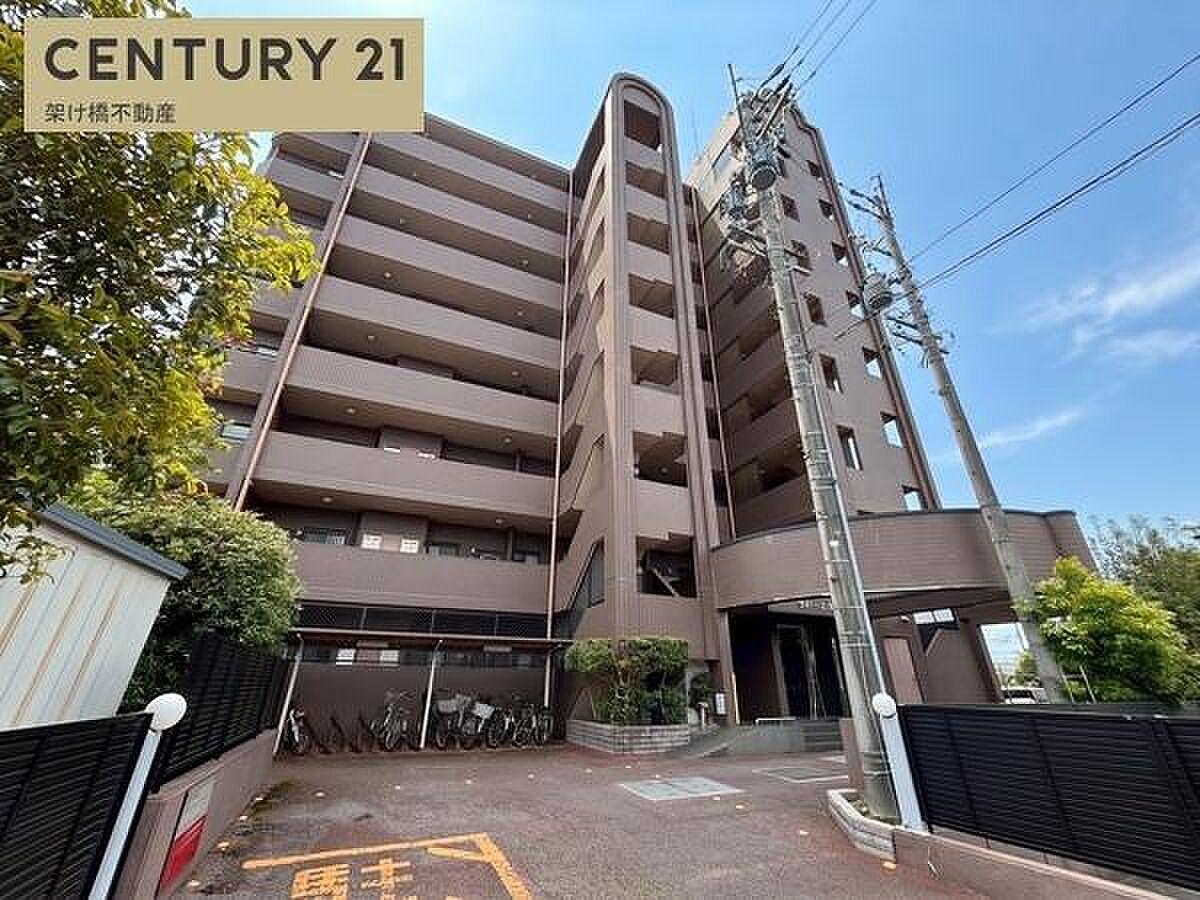 9階建ての最上階、22坪超の空。床いっぱいの日差しを、まるごと自分の庭にする暮らし